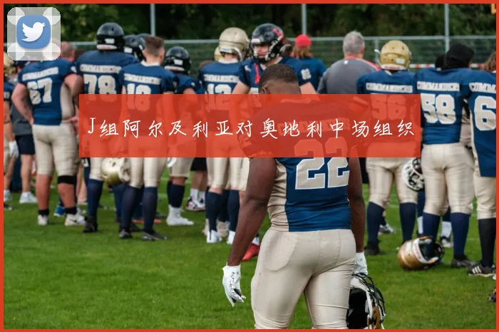 J组阿尔及利亚对奥地利中场组织