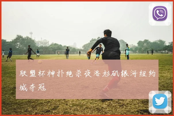联盟杯神扑绝杀夜洛杉矶银河纽约城夺冠