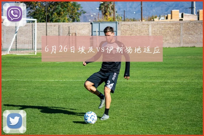 6月26日埃及vs伊朗场地适应